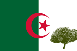 שורשים משפחתיים באלג'יריה